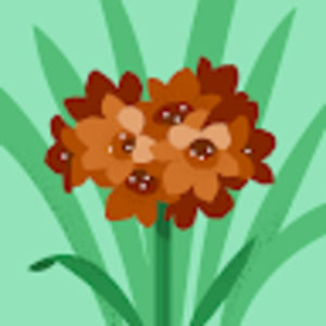 Meet your Posher, Eyeana